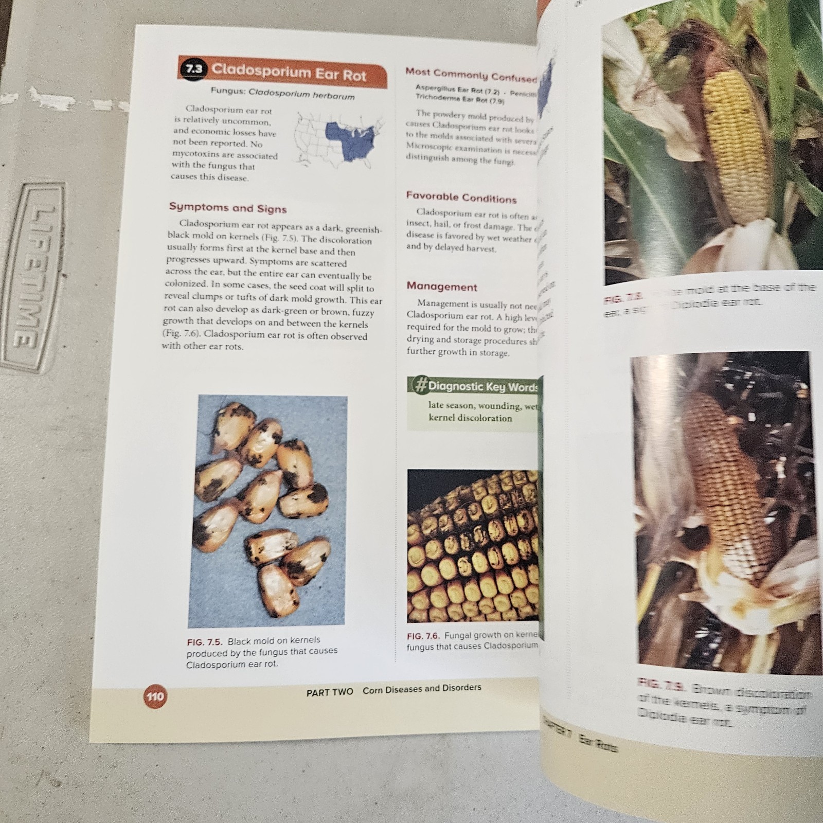 A Farmer's Guide to Corn Diseases