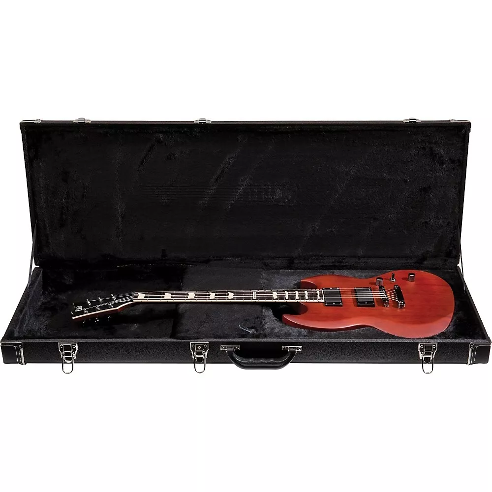 Esp guitar sale case