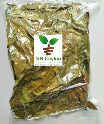 Ashoka Saraca asoca Jonesia asoca Menorrhagia Disuria Dried Herbs Ceylon 26.5oz