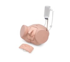3B Scientific Catheterization Simulator Set P...