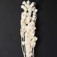 Dekorative Trockenblume Lampionblume k&uuml;nstlich filigran elegant