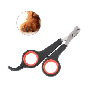 guinea pig nail trimmers