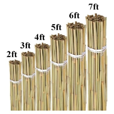 Bamboo Garden Heavy Duty Canes Thick Quality Plant Veg Support Cane ...