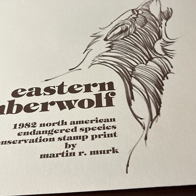 Martin Murk, Eastern Timber wolf, AP 6/100, Mint ,1982.Excellent  Condition