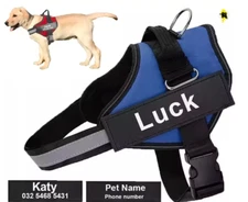 Dog Harness Vest w/ ID Patch - Custom, No-Pull, Reflective XS–XXL Adjustable