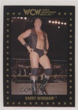 1991 Championship Marketing WCW Barry Windham #17 0l1