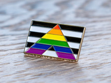 LGBTQ Gay Ally Flag 1" Lapel Pin LGBT Lesbian Transgender Pansexual Bisexual