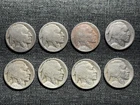 8 Early Buffalo Nickels - Teens 1913 to 1919 - Good Dates Carefully Restored