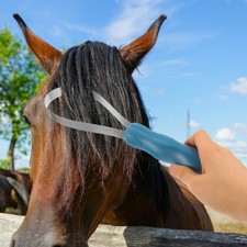  Brosses De Toilettage Pour Chevaux Chien Acier Inoxydable Métallique