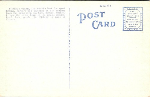 Bass Fishing, Near Ocala Florida White Border Vintage Postcard E2 | eBay