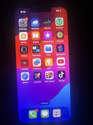 Apple iPhone 13 - 128 GB - Black (Unlocked)with Tik Tok