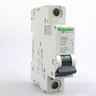 Schneider Electric Circuit Breaker Multi 9 C60L C2A 25393 NOV