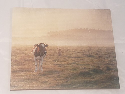 Primitive Rustic Farmhouse Young Bull "Cow" Wooden Sign - Picture 1 of 4