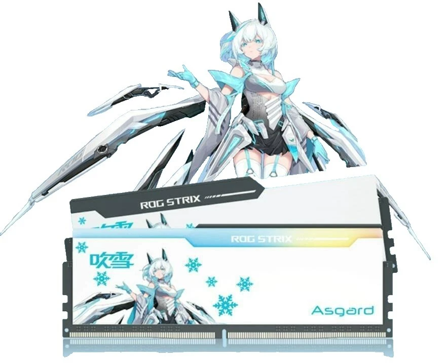 DIMM Computer Memory (RAM 16 GB Capacity per Module) 2 Modules