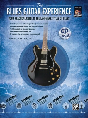 THE BLUES GUITAR EXPERIENCE MUSIC BOOK/CD PRACTICAL GUIDE STANDARD NOTATION/TAB