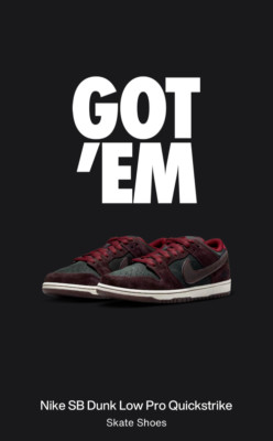 Nike SB Dunk Low Pro x Riot Skateshop Mahogany and Team Red SZ Men 10