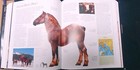Bild 10 von 11