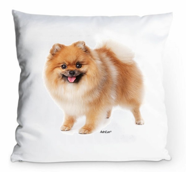 Kissenbezug 40X40Cm - Spitz Zwergspitz - Pomeranian Hund Deko Portrait-image