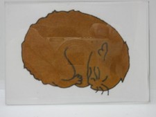 NEW HAND PAINTED HAMSTER MAGNET 2 1/2" X 3 1/2"