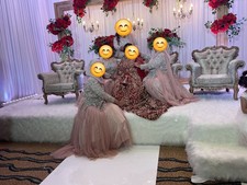 Asian Pakistani Indian Wedding Party Wear Dress