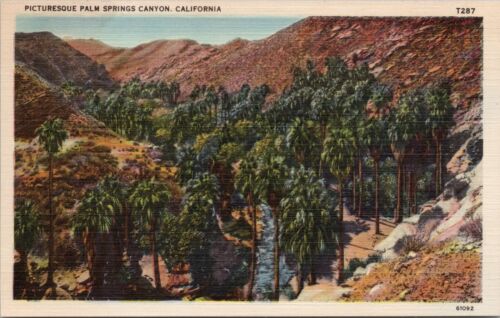 PALM SPRINGS, CALIFORNIA ~ Picturesque Palm Springs Canyon c.1930 Linen Postcard - Picture 1 of 2