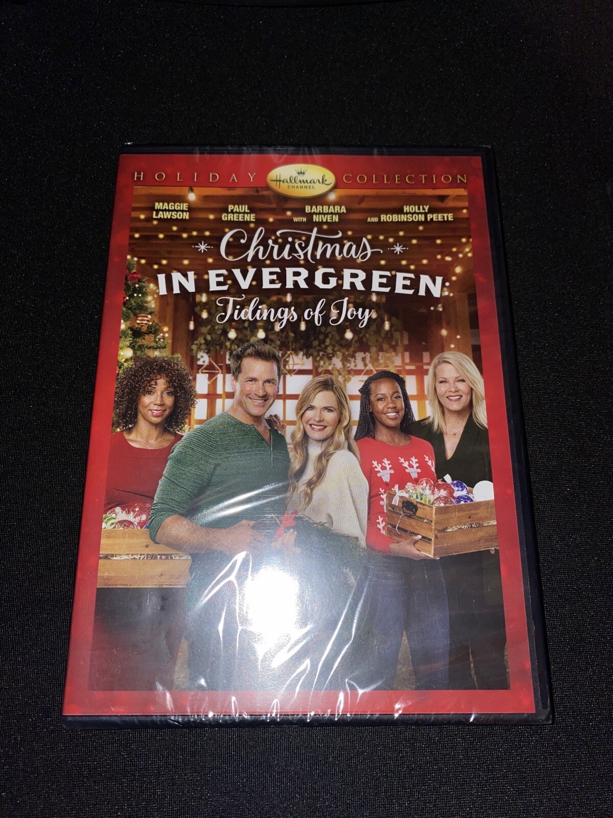 Christmas In Evergreen Tidings of Joy (DVD) FREE SHIPPING