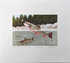 Louis Frisino: 1979 MARYLAND TROUT STAMP PRINT W/MINT STAMP, #33/700 MINT!