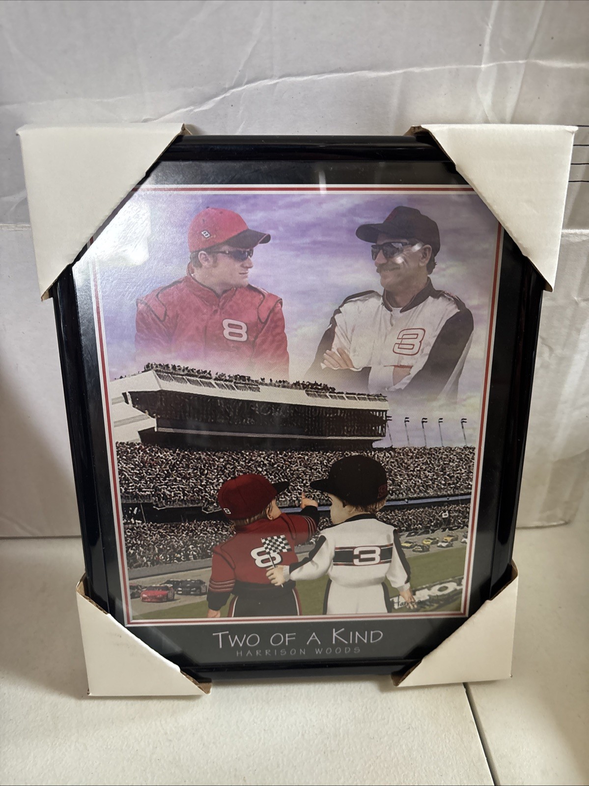 NASCAR Two of a Kind Harrison Woods Painting Earnhardt Jr and Sr 10x8 Art
