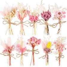 10 Pack Mini Dried Flower Bouquets Pink Series Natural Small Dry Flowers with...