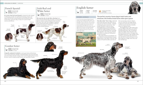 The Dog Encyclopedia: the Definitive Visual Guide - Picture 9 of 12