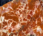 rawk11: Brecciated Jasper slab-Orange/Red/White Brecciated Patterns-California — photo 2