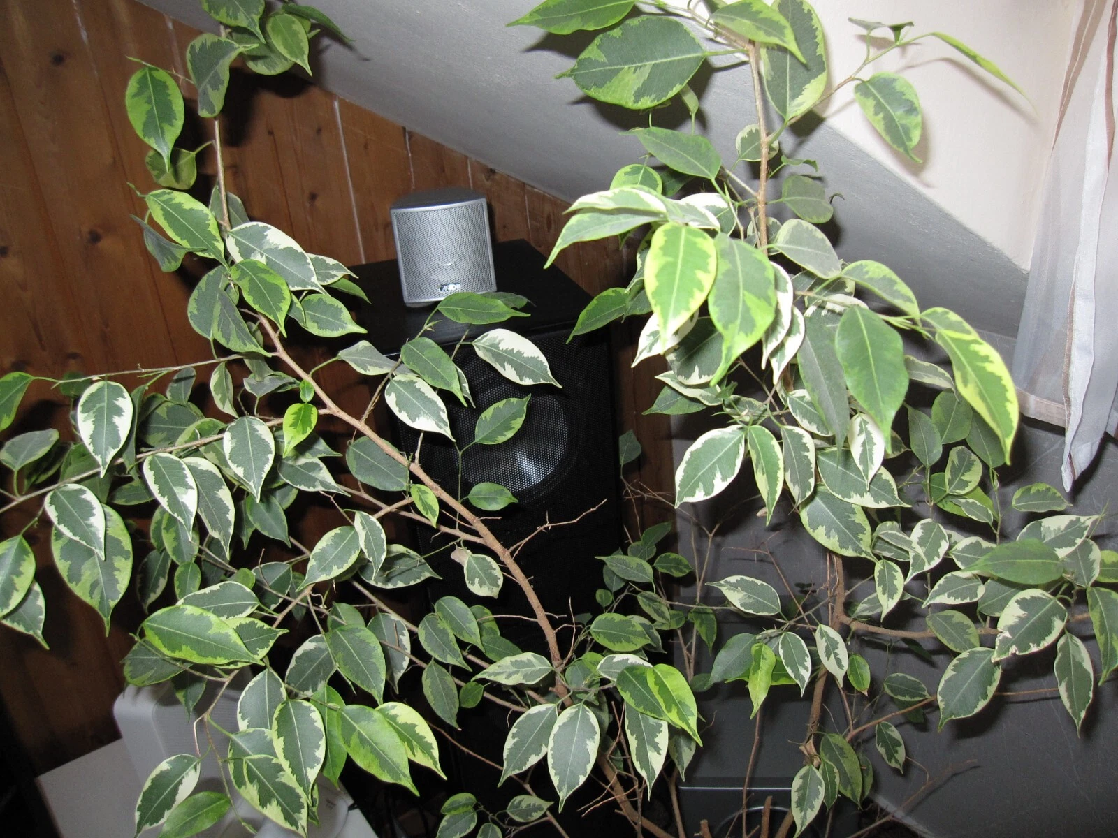 Bild 20 von 24