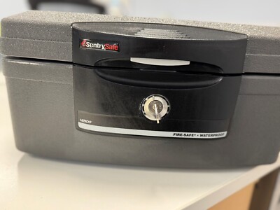 SentrySafe H2100 feuerfest/wasserdicht