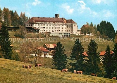 Ried Lindenberg Allgaeu Course Sanatorium Cattle Pasture Cows