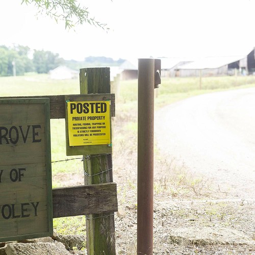 Posted Signs No Trespassing No hunting signs - Heavy Duty -11” x 11" (100 count) - Picture 8 of 8
