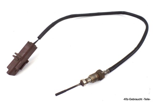 Peugeot 807 (E) 2.2 HDi Lambdasonde Temperatursensor