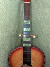 Ibanez Salvador