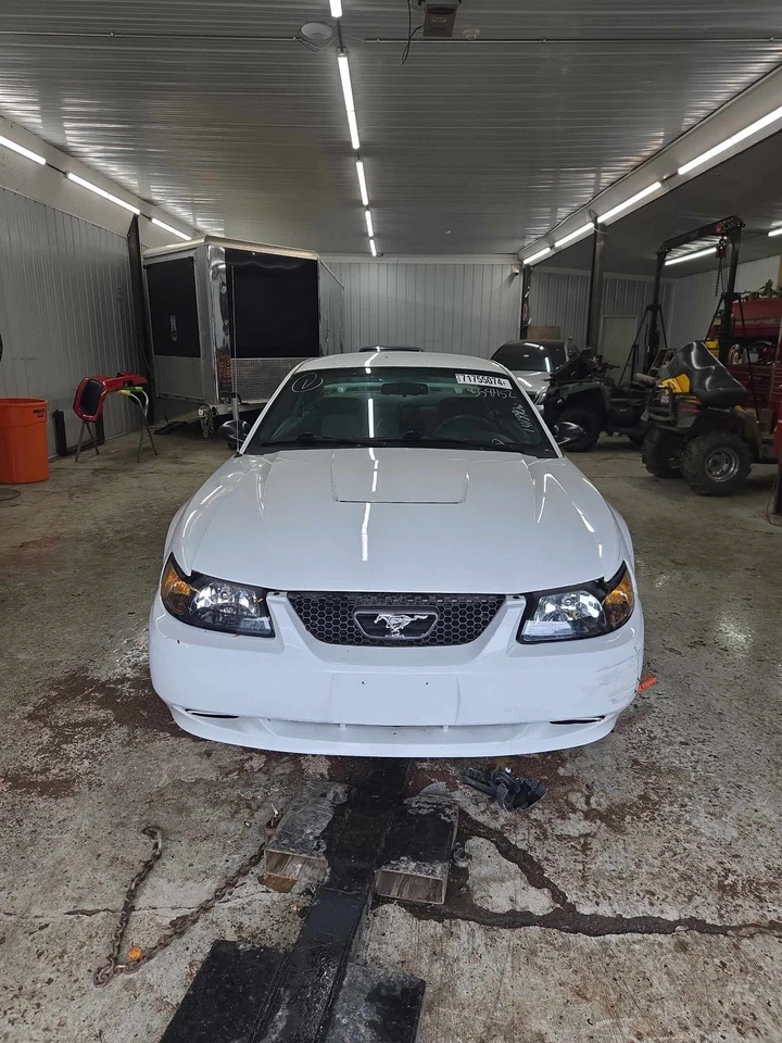 Used Front Grille fits: 2003 Ford Mustang Base V6 Front Grade A - Image 2 of 4