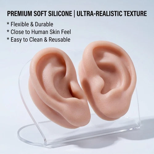 Silicone Ear Model 1 Pair Soft Ear Model, Human Ear Model Flexible Fake Ear S... image 3
