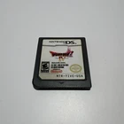 Dragon Quest IV Chapters of the Chosen - Nintendo DS (Tested and Working)