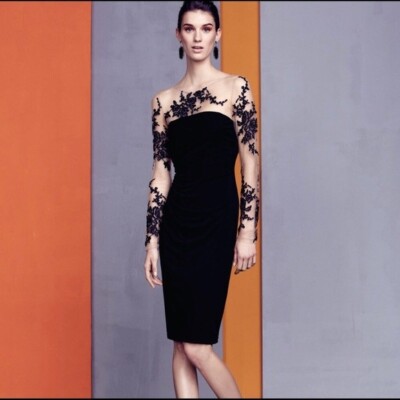 david meister lace dress DAVID MEISTER Black Nude Sheer Embroidered Lace Illusion Yoke Sleeves Dress  8 M