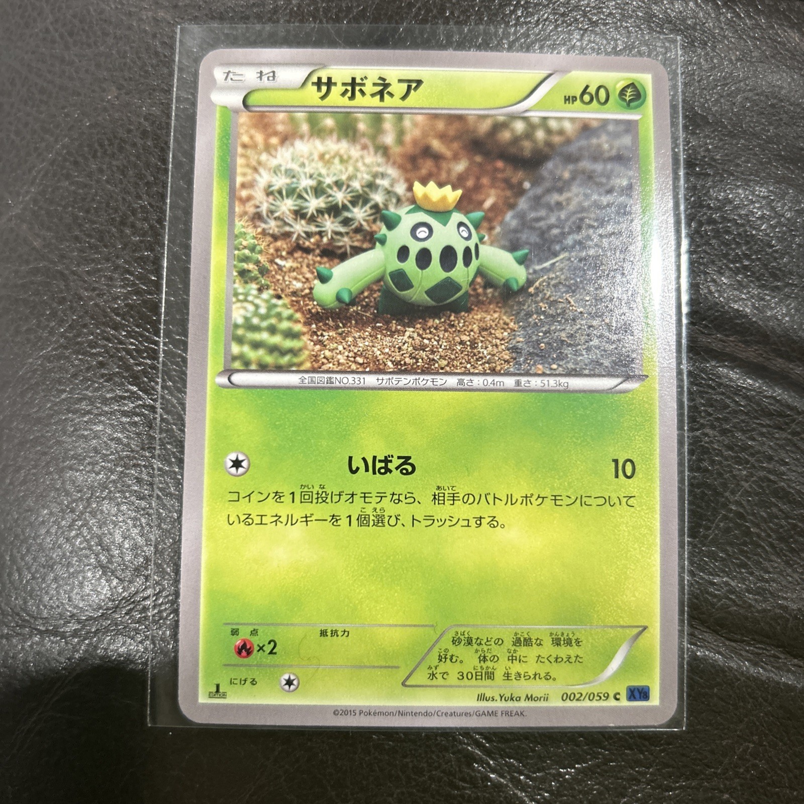 Cacnea Pokemon Card 1st Ed 2015 002/059 XY8 Nintendo TCG Japanese