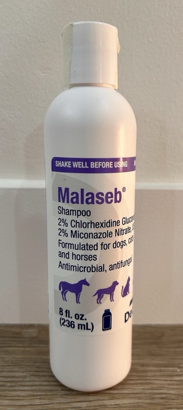 Malaseb Shampoo 8 Oz For Dogs, Cats, Horses - Antimircobial Antifungal
