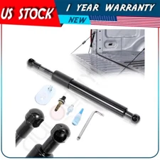 Tailgate Assist Struts Lift Support Fits 99-14 Ford F-250/350 Super Duty DZ43203