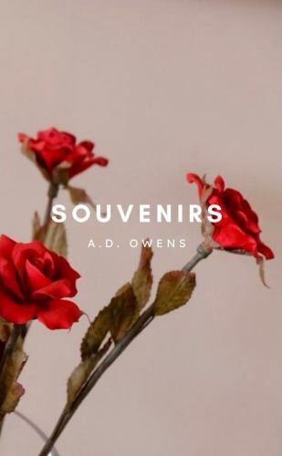 Souvenirs by Owens, A. D., Like New Used, Free shipping in the US