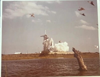 NASA STS-2 Columbia Launch 1981 KSC Press Photo 8x10 Original Shuttle Mission  