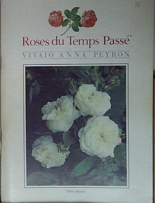ROSES DU TEMPS PASS VIVAIO ANNA PEYRON