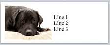 Personalized Address Labels Black Labrador Dog (P 826)