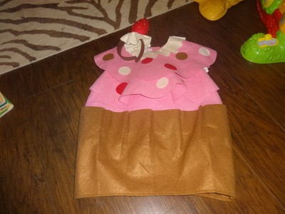 Pottery Barn Kids 7 8 Cupcake Costume Ebay