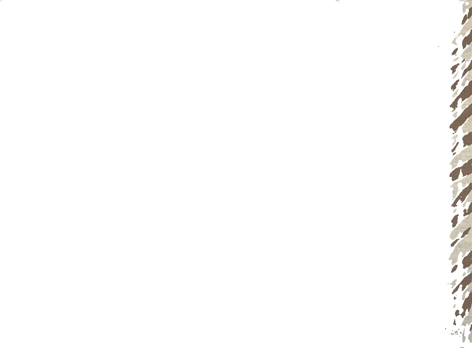 Géneros artesanales Multicolor Cortinas Estampado De Cebra